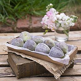 《空洞骑士》众筹支援玩家感叹许诺的Wii U版取消 官方回应